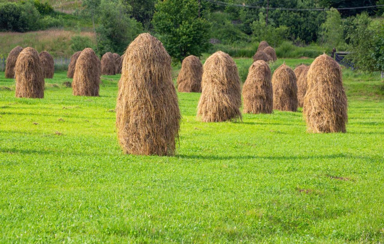 Casa De Vacanta Armi Molidu Bagian luar foto